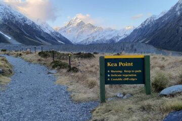 紐西蘭南島最高庫克山大冒險－五條登山推薦步道跟冰川健行